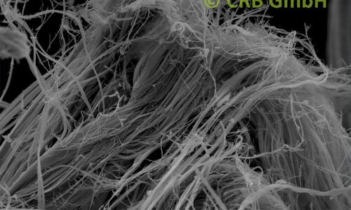 Immagine SEM crisotilo amianto in sokalite | © CRB Analyse Service GmbH