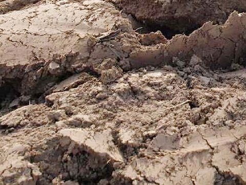 xrf-analysis of soils | © CRB Analysis Service GmbH