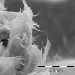 Le meilleur chrysotilasbestos dans un revêtement de sol en PVC | © CRB Analyse Service GmbH