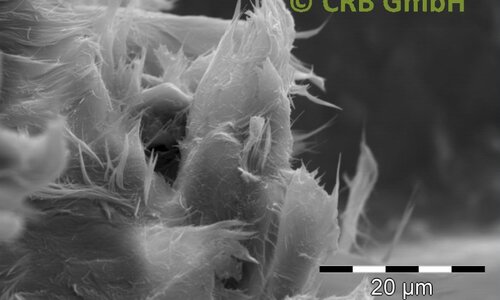 Immagine SEM crisotilo amianto in sigillo | © CRB Analysis Service GmbH