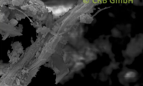 Immagine SEM crisotilo amianto in stucco finestra | © CRB Analysis Service GmbH